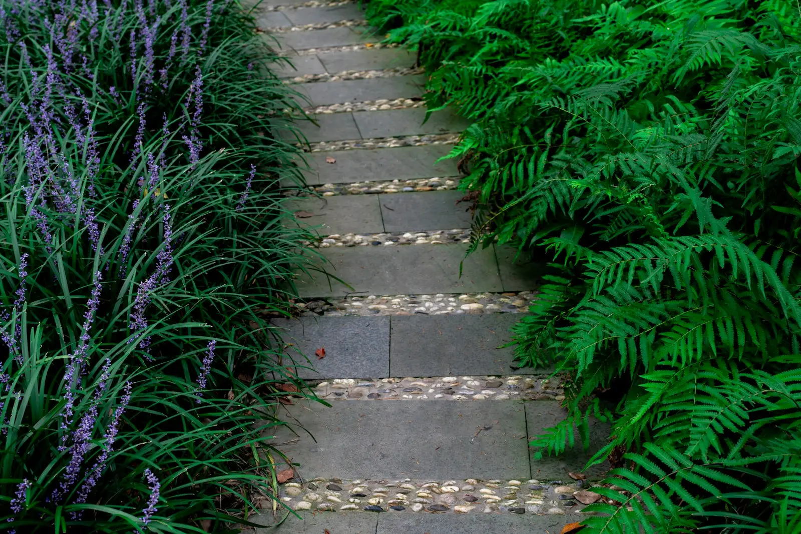 Hardscaping project 5