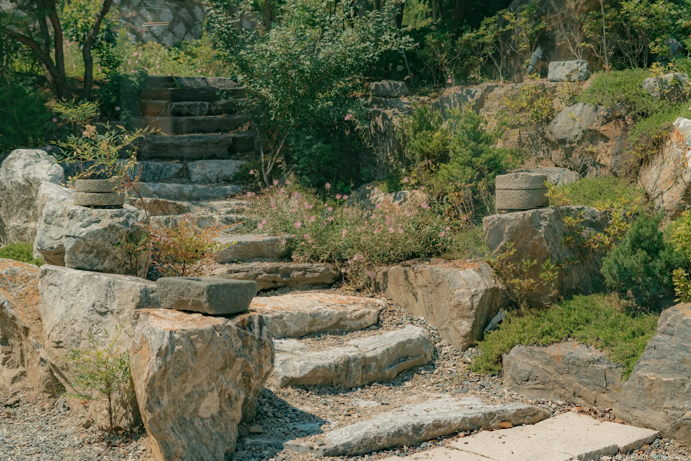 Stone steps with landscape lighting climbing a planted hillside at dusk