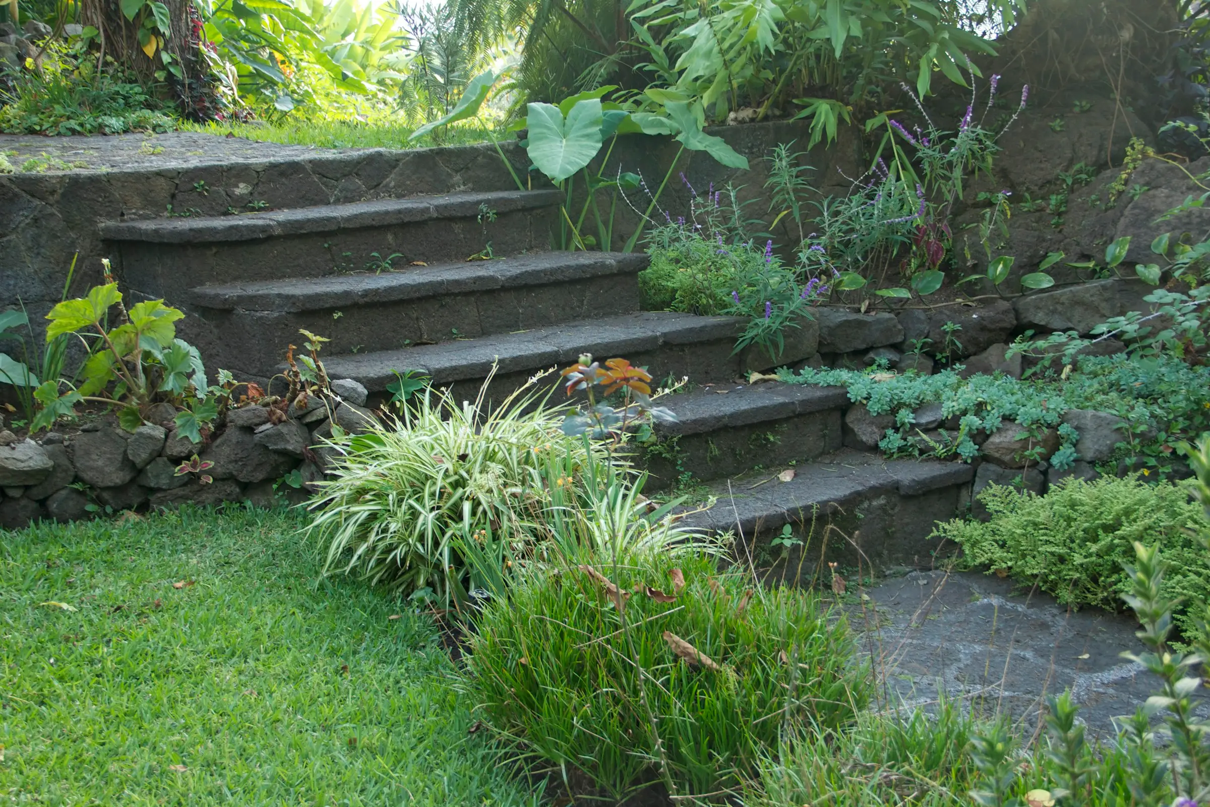 Terraced garden with stone steps, retaining walls, and a green lawn