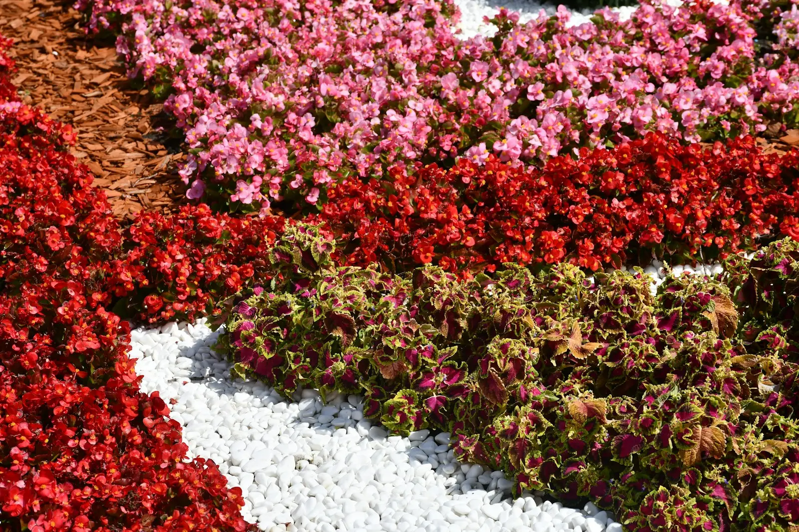 Landscaping project 4