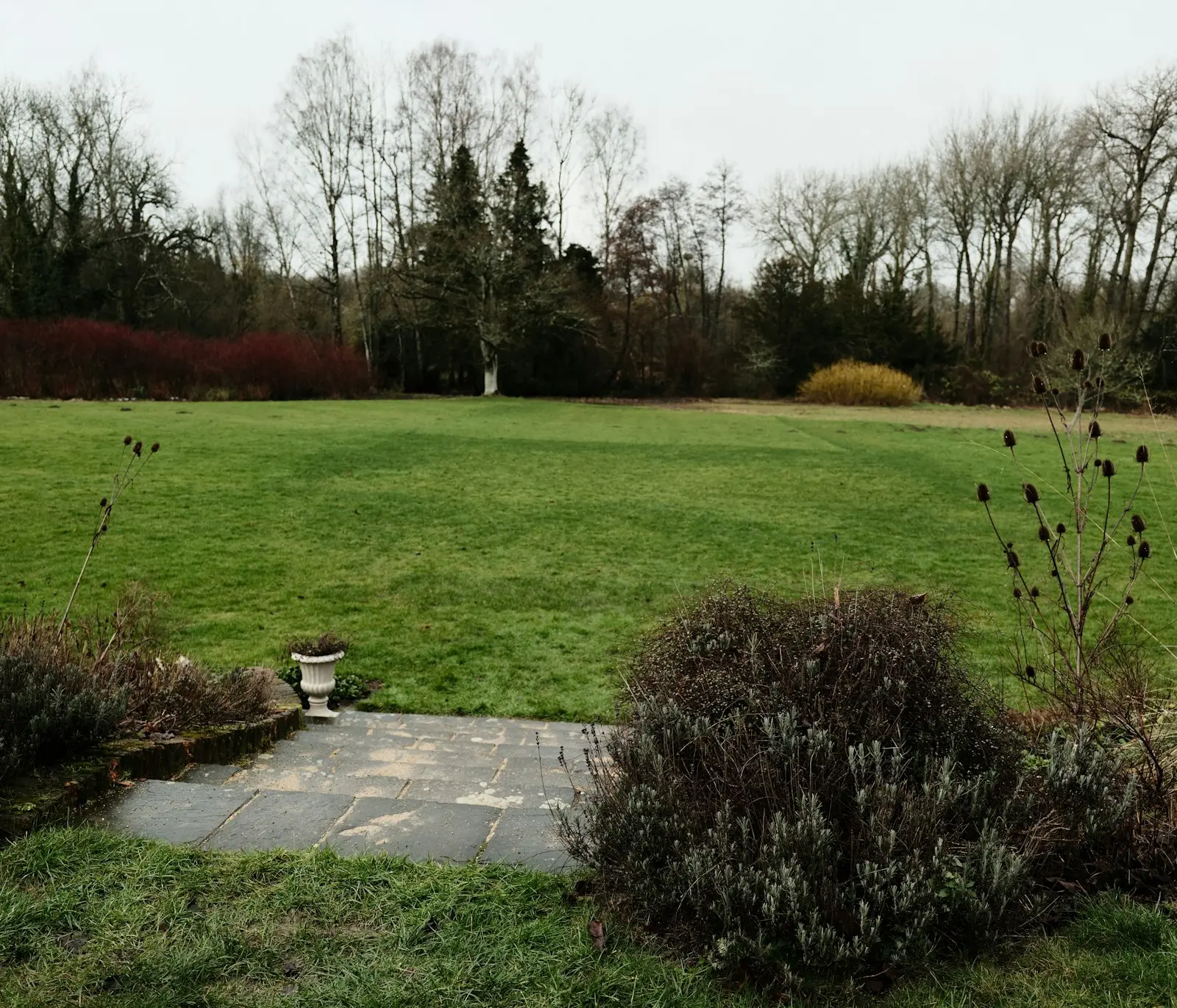 Landscaping project 7