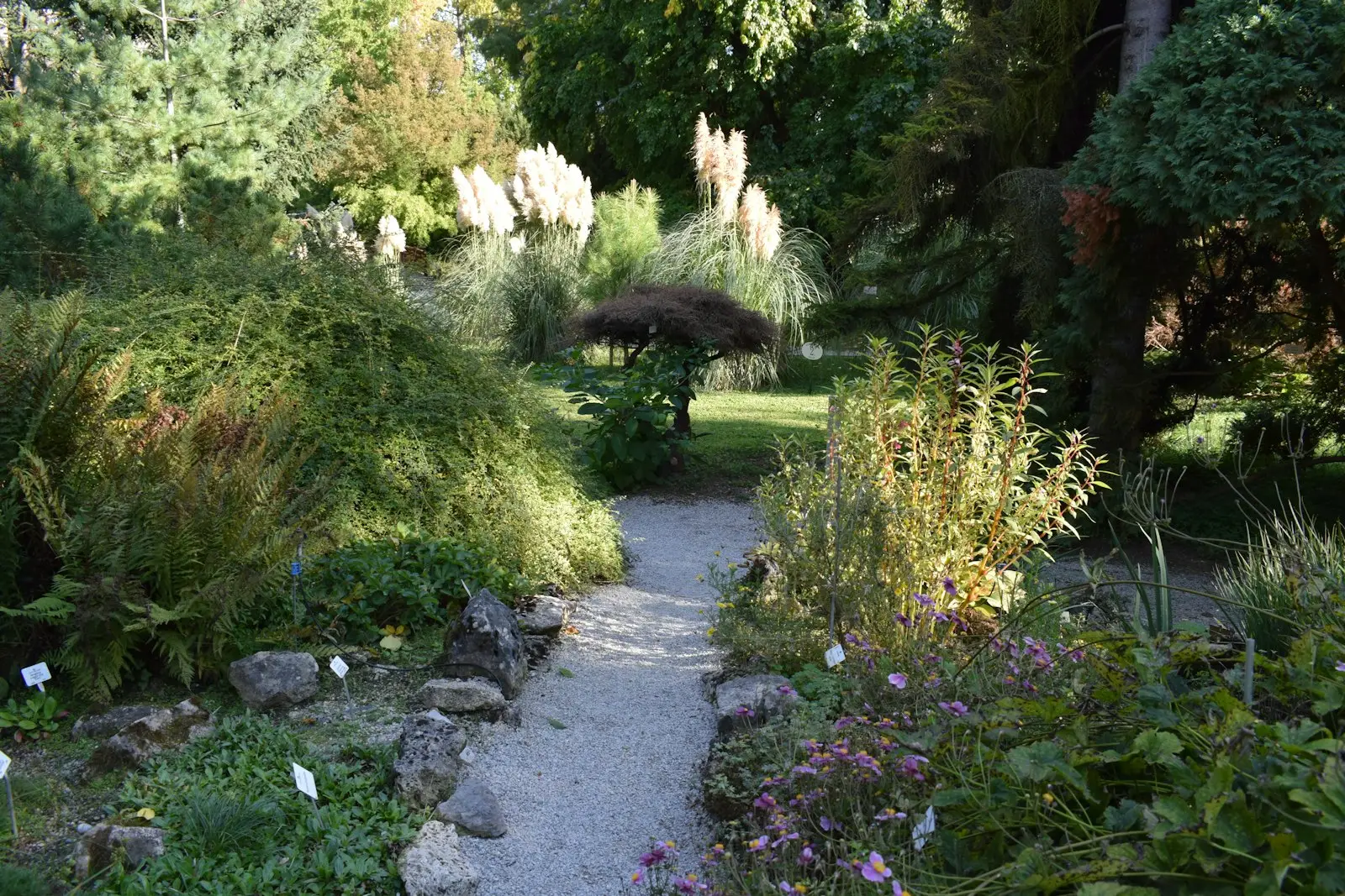 Landscaping project 8