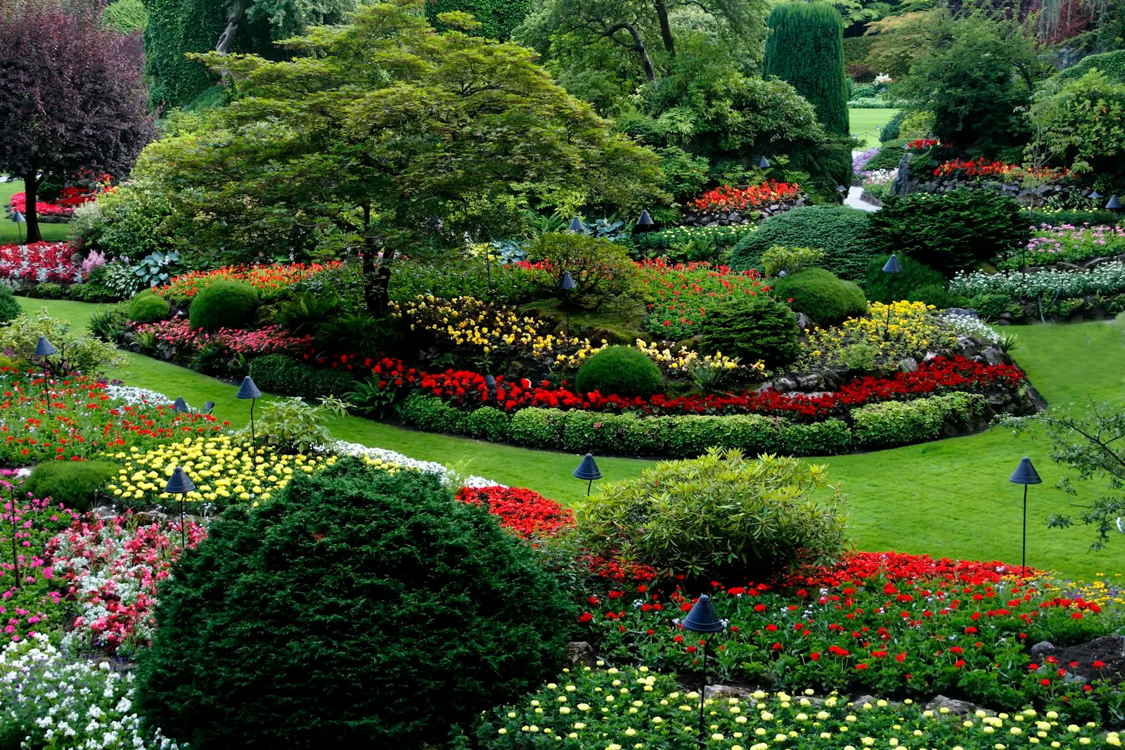 Landscaping project by God With Us Landscaping