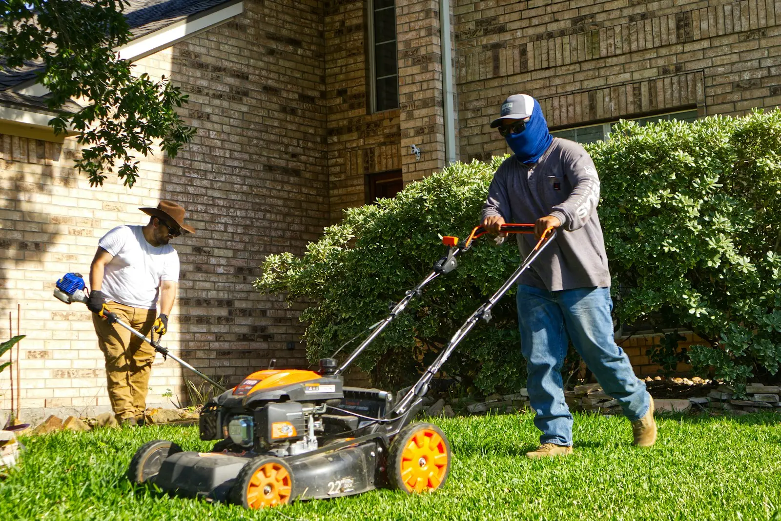 Garden Maintenance project 1