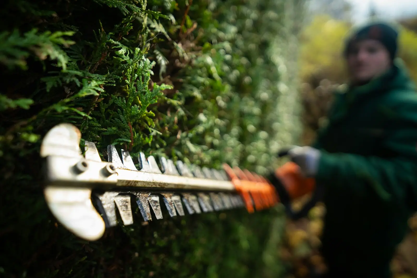 Garden Maintenance project 3