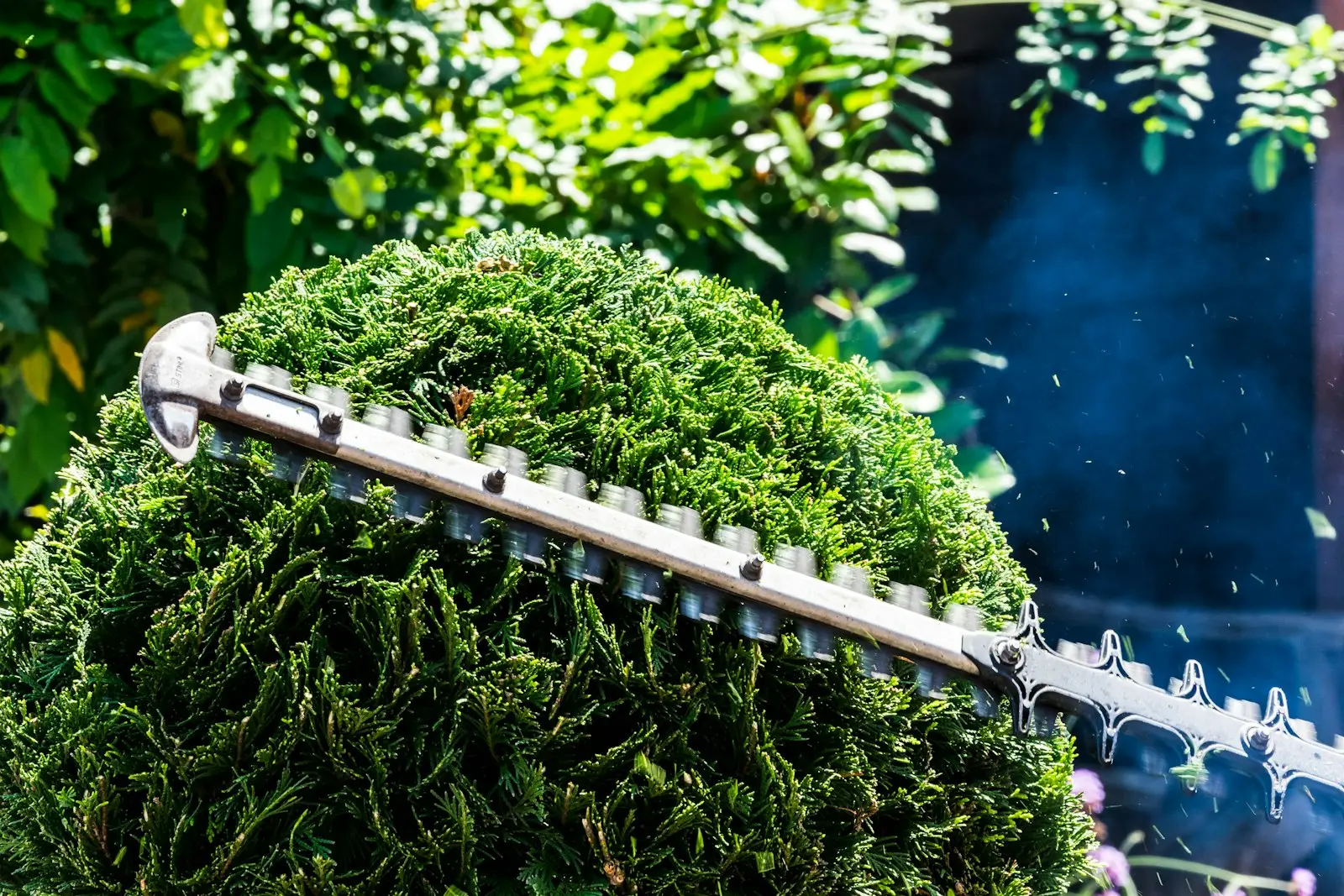 Garden Maintenance project 4