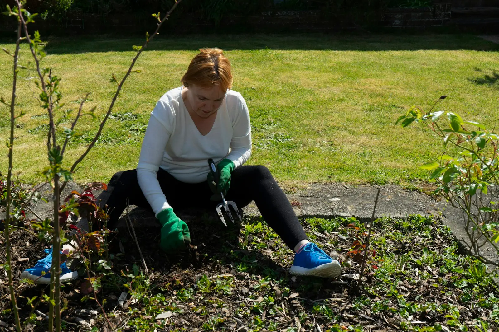 Garden Maintenance project 5