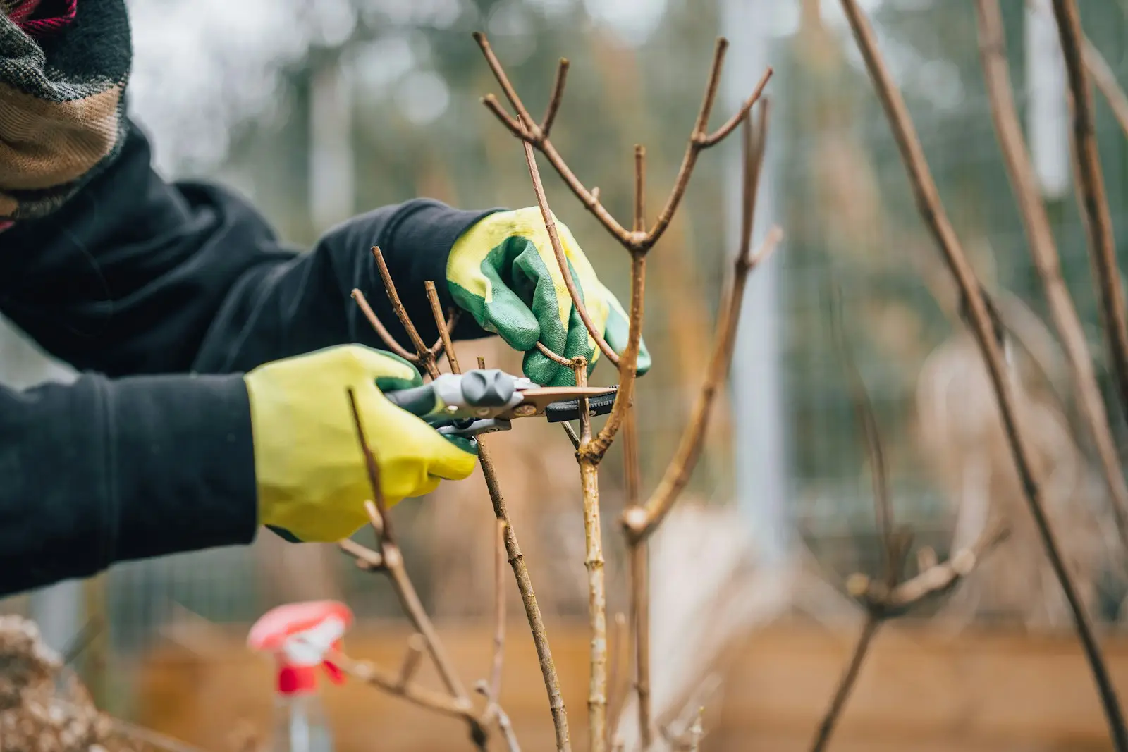 Garden Maintenance project 7
