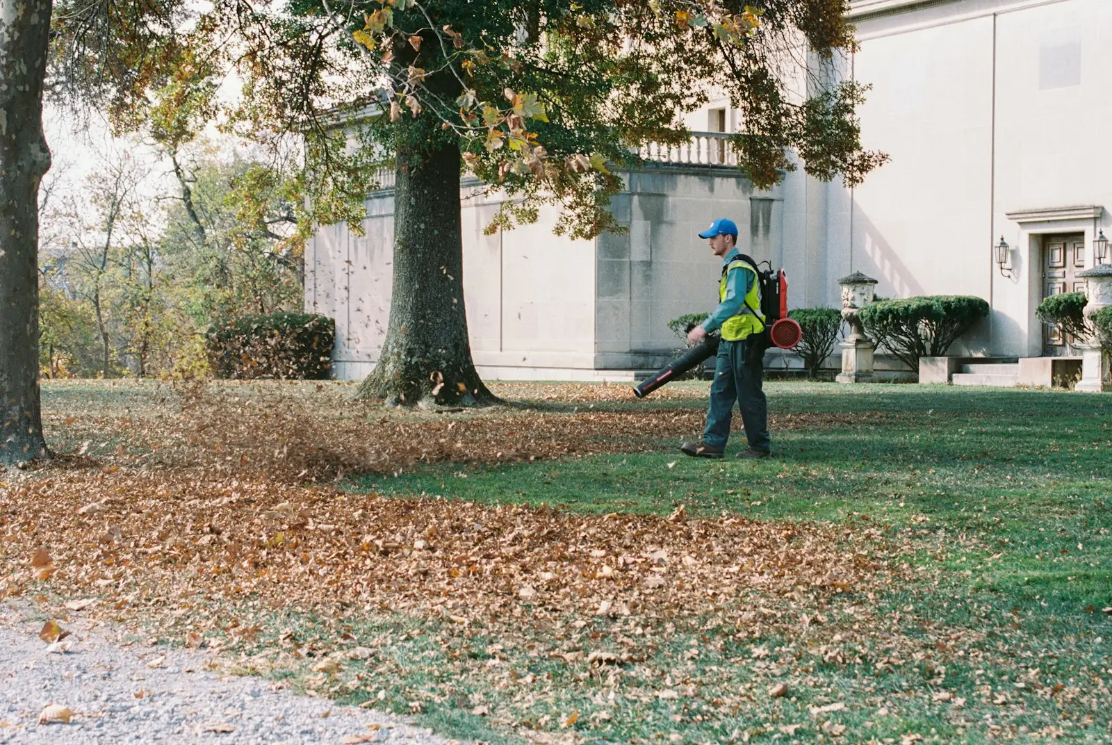 Garden Maintenance project 8